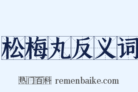 松梅丸反义词是什么意思的图片